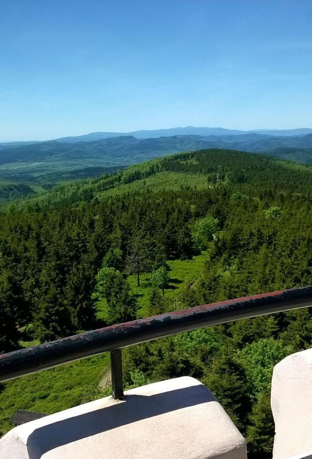 Appartamento Minisowa Jedlina-Zdroj Esterno foto