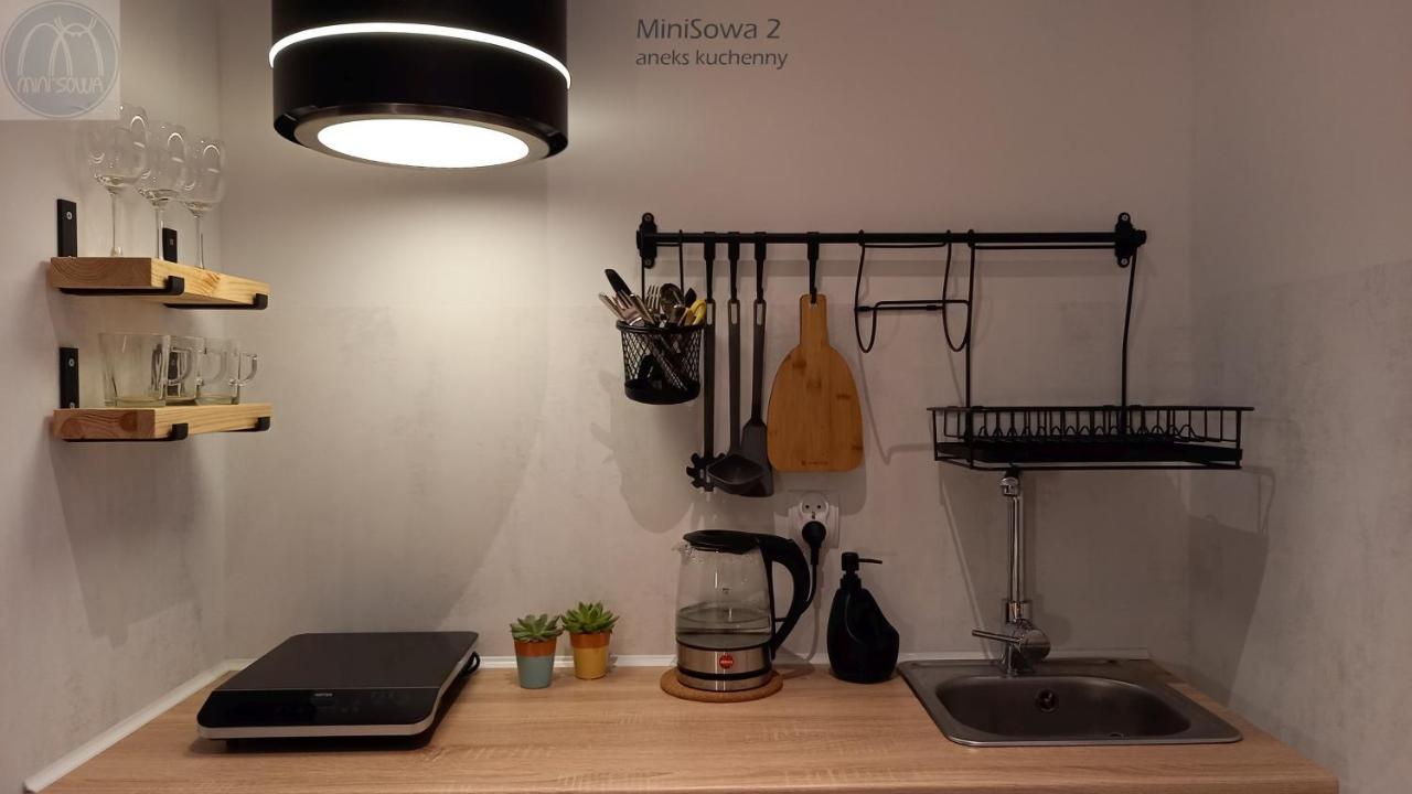 Appartamento Minisowa Jedlina-Zdroj Esterno foto