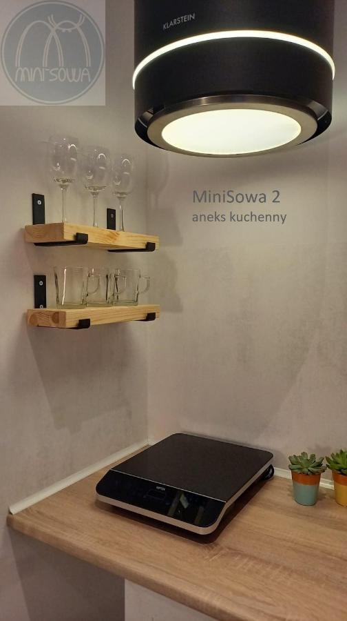 Appartamento Minisowa Jedlina-Zdroj Esterno foto