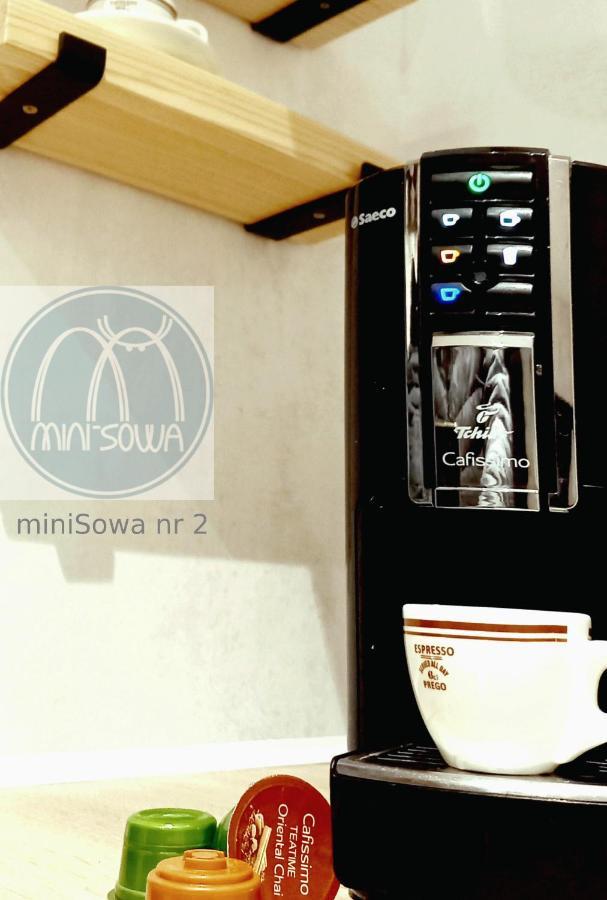 Appartamento Minisowa Jedlina-Zdroj Esterno foto