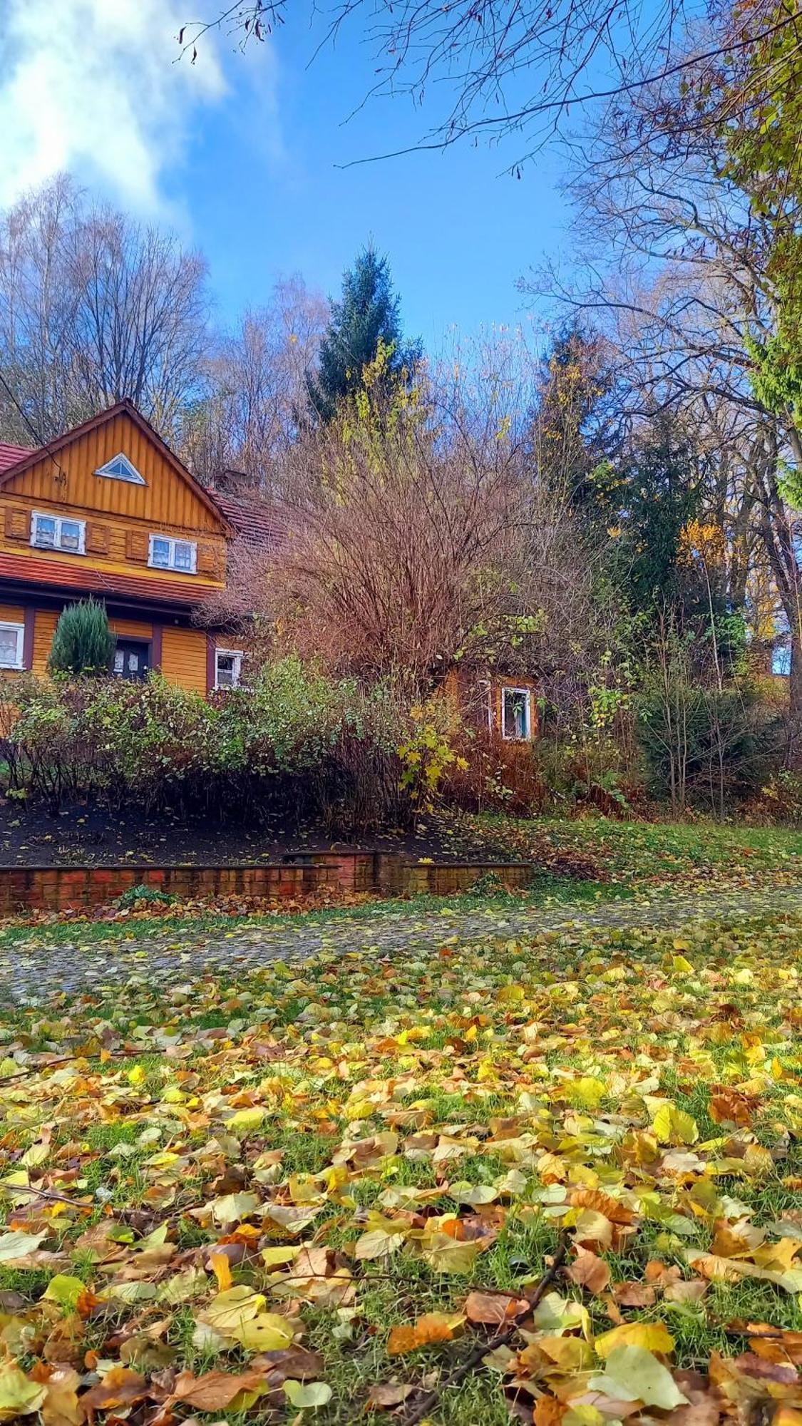 Appartamento Minisowa Jedlina-Zdroj Esterno foto