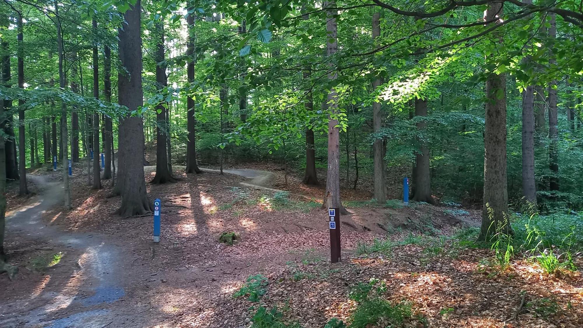 Appartamento Minisowa Jedlina-Zdroj Esterno foto