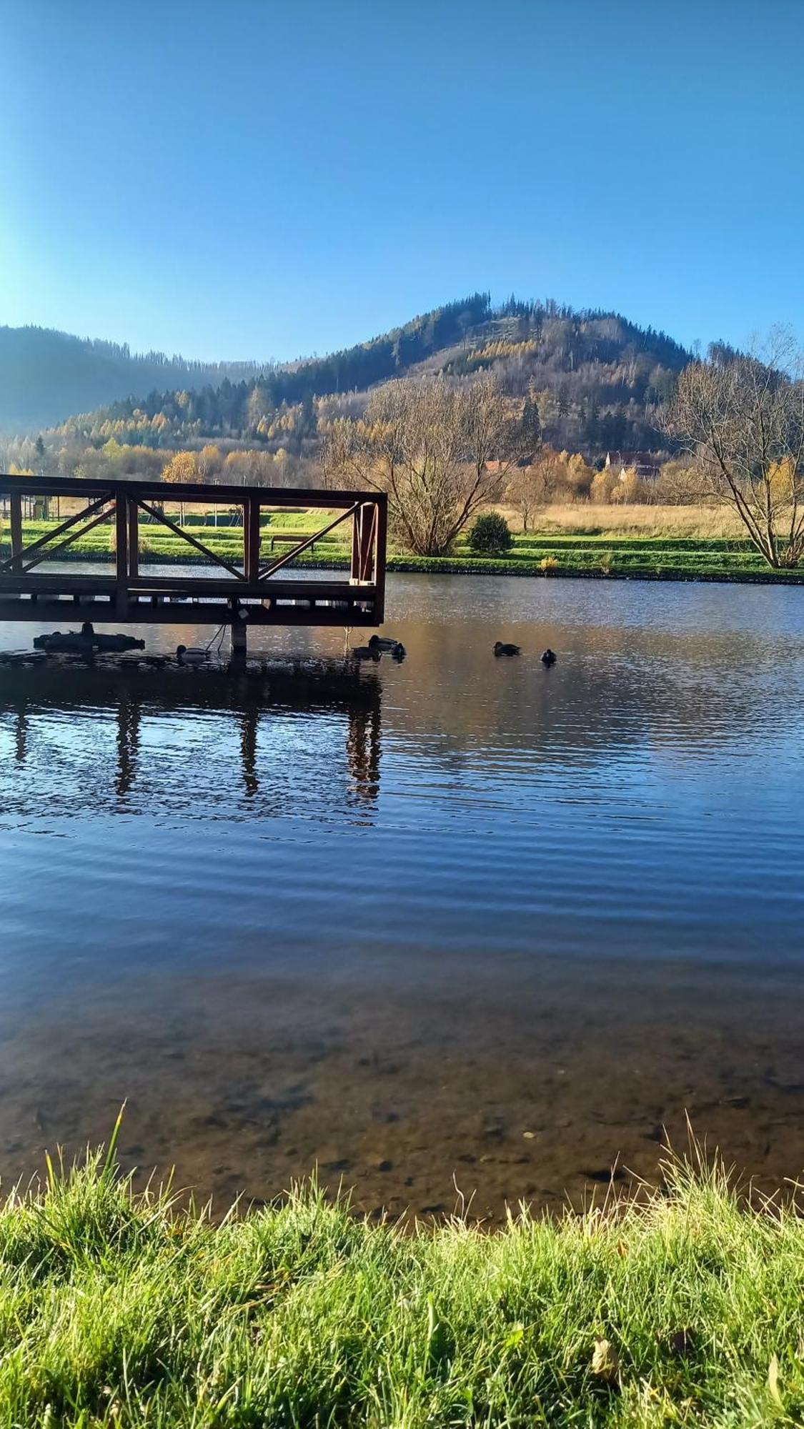 Appartamento Minisowa Jedlina-Zdroj Esterno foto