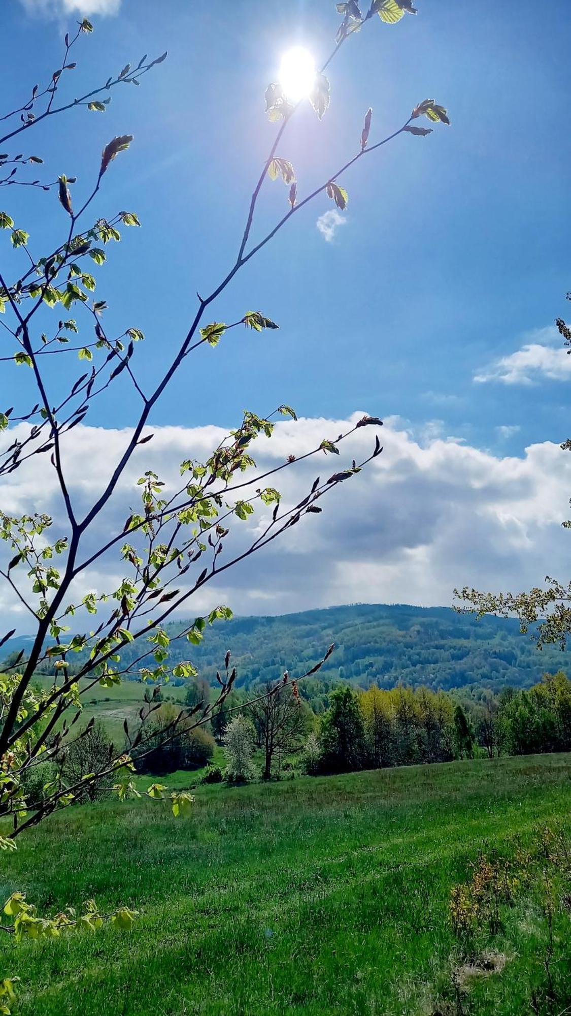 Appartamento Minisowa Jedlina-Zdroj Esterno foto